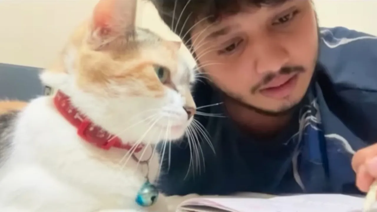 Talking Cat Viral Video
