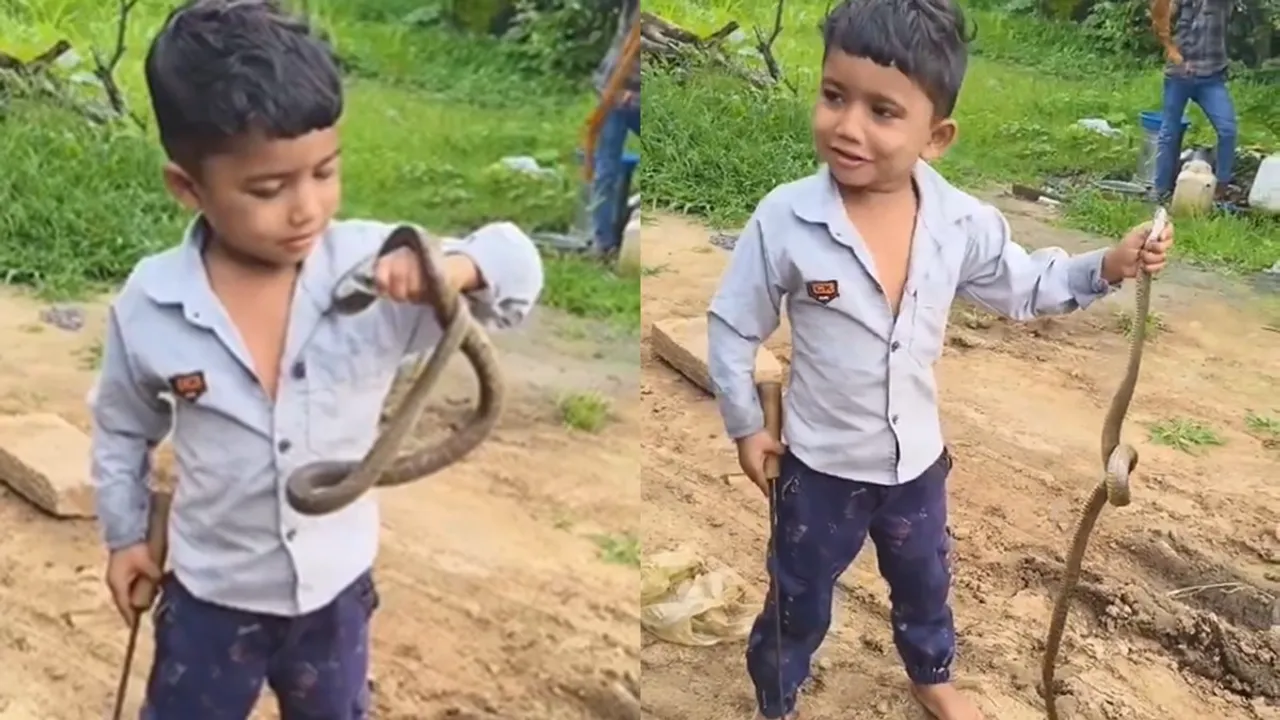 child grab snake