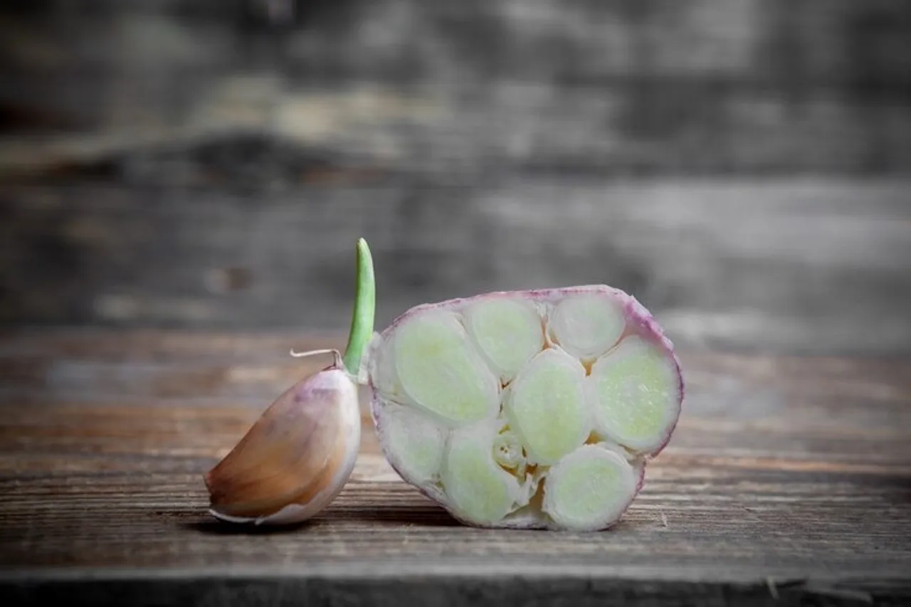Grow Garlic At Home 3