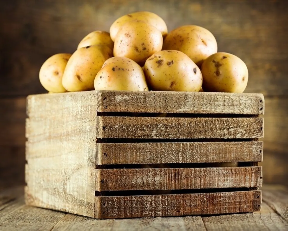 Store Potato 3