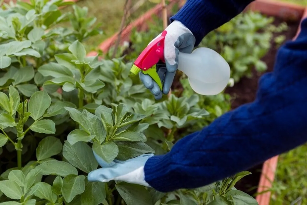 Organic Fertiliser 5