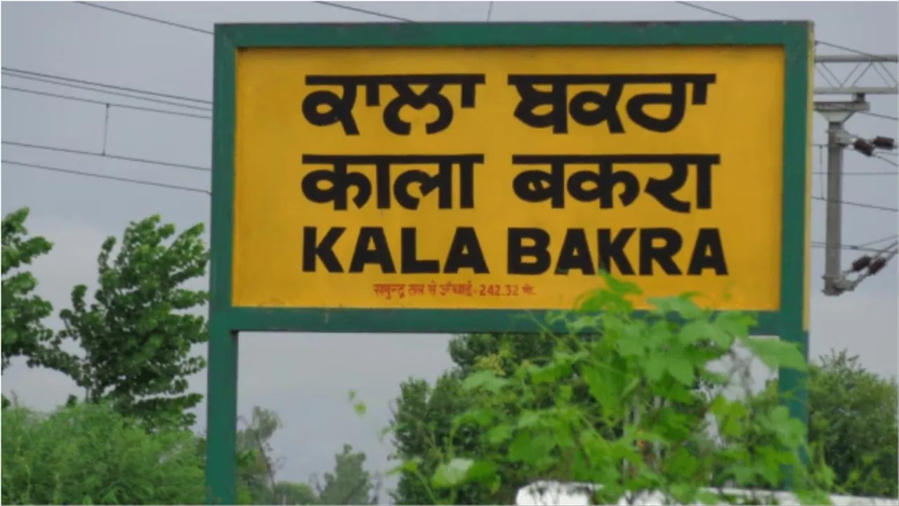 Kala Bakra