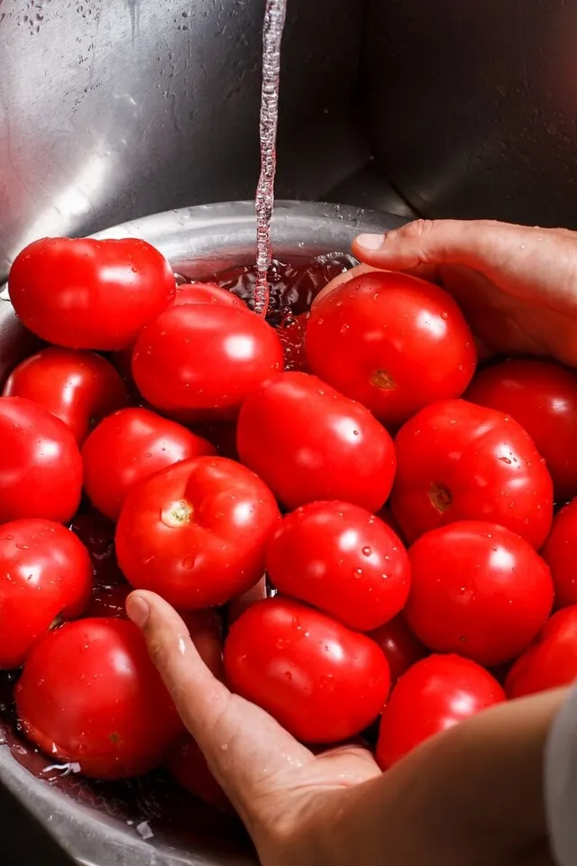 Tomatoes Fresh For Long 5