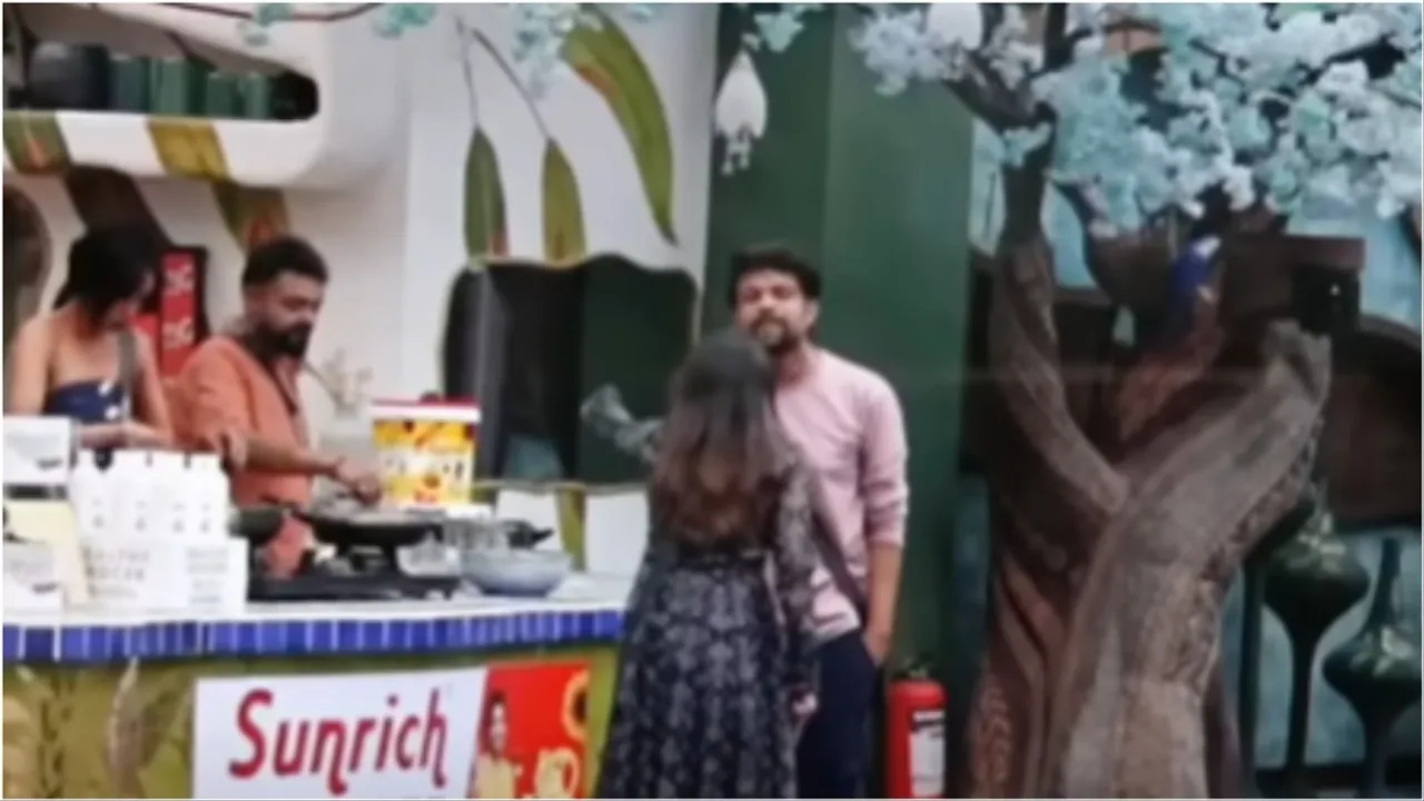 Bigg Boss Malayalam Season 7 Binny and Aneesh