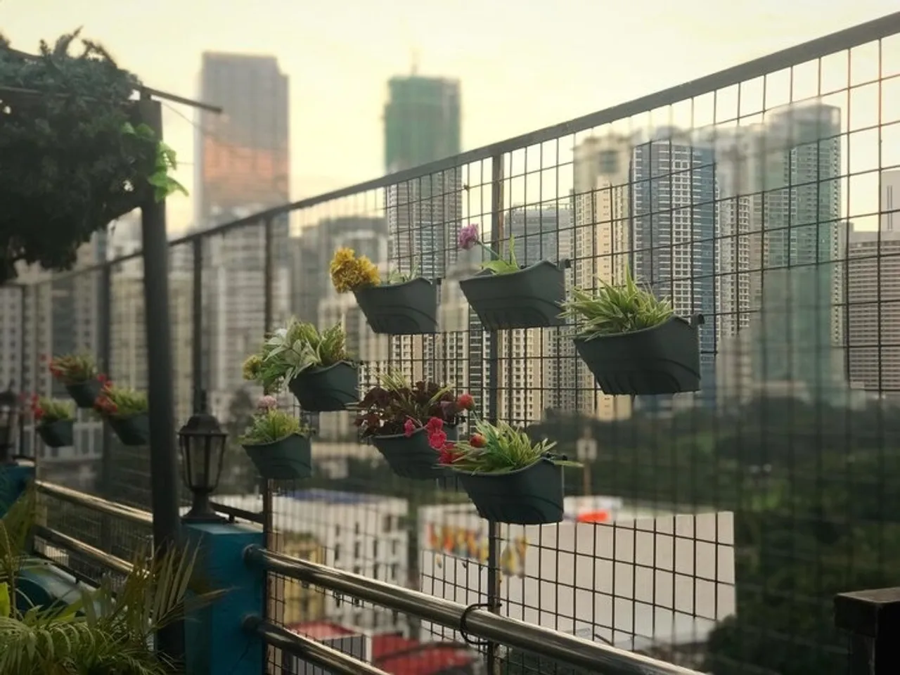 Organise Balcony Garden 2