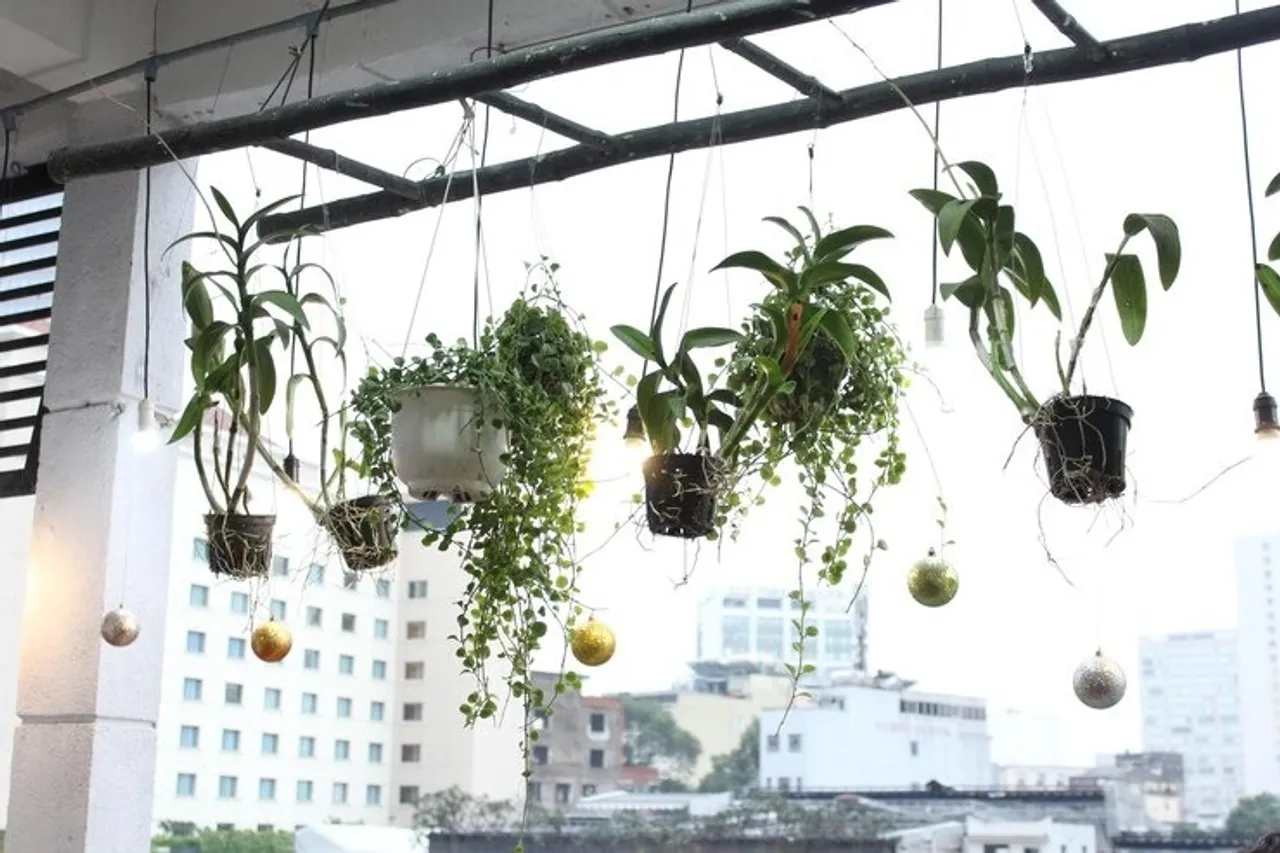 Organise Balcony Garden 3