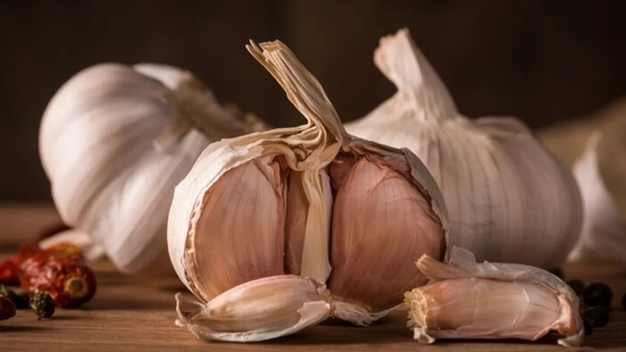 Store Garlic Fresh For Long FI