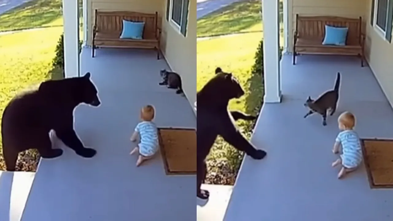 Cat Saving Babies from Bear