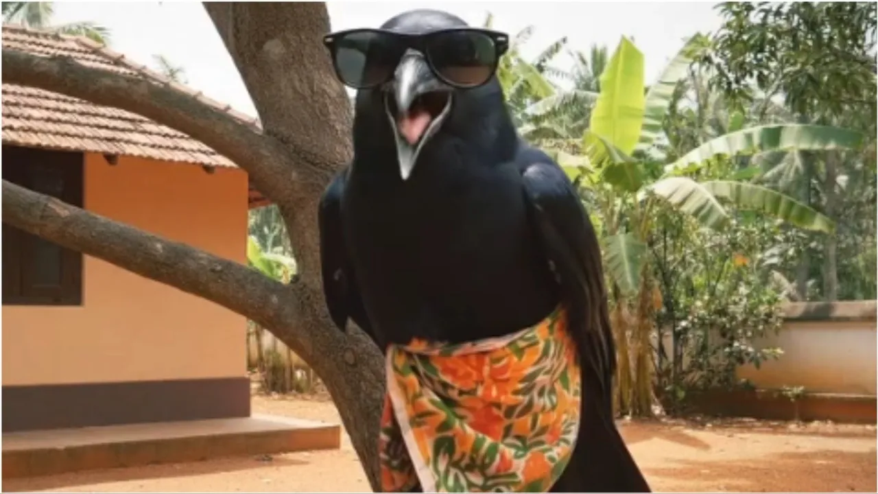 AI Viral Video Crow