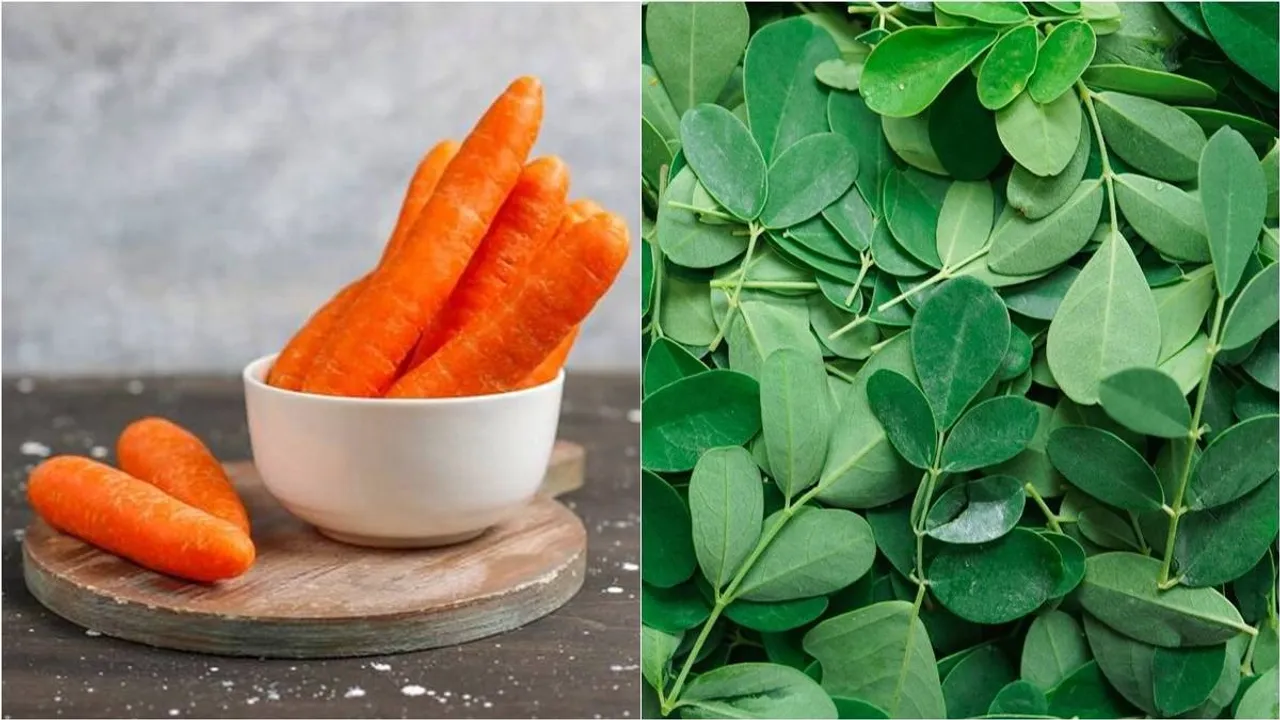 carrot
