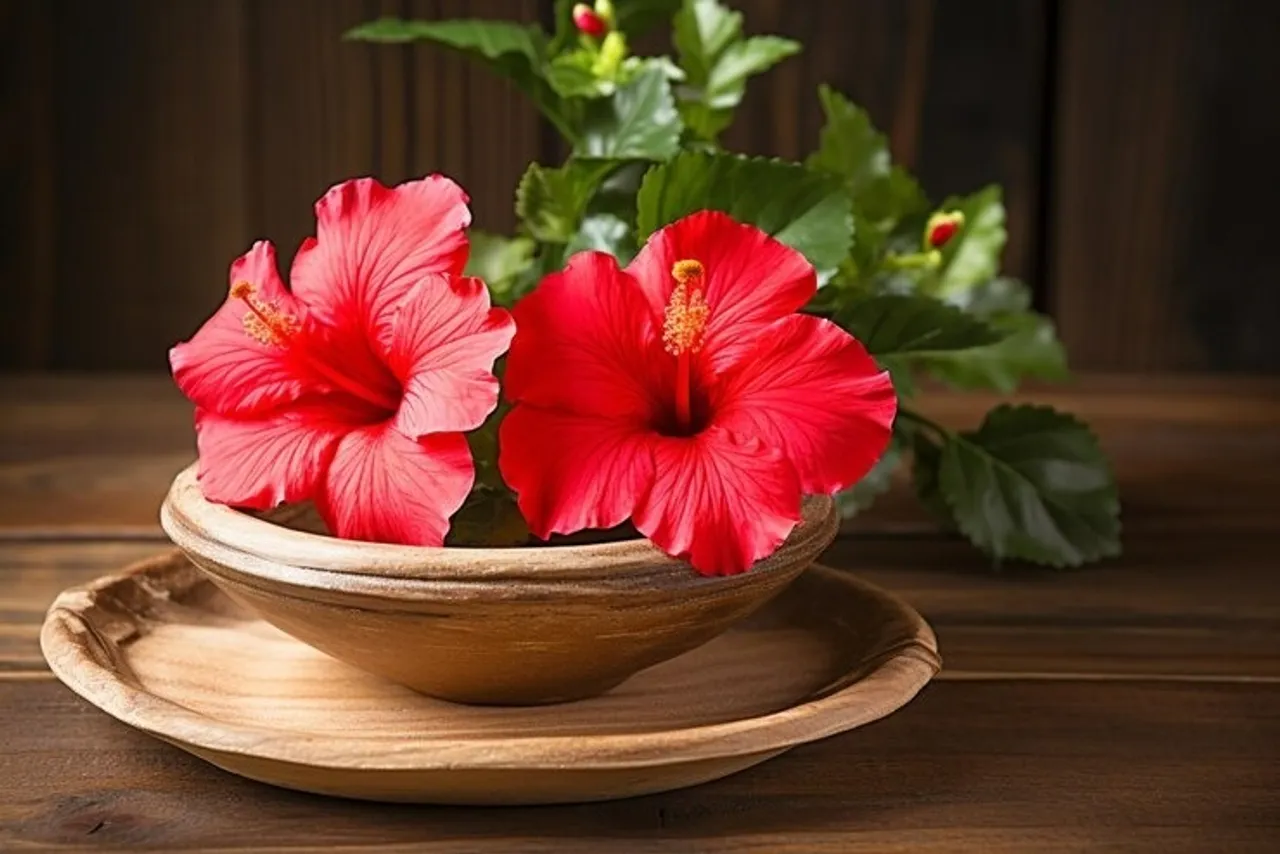 Hair Care Mask With Red Hibiscus 1