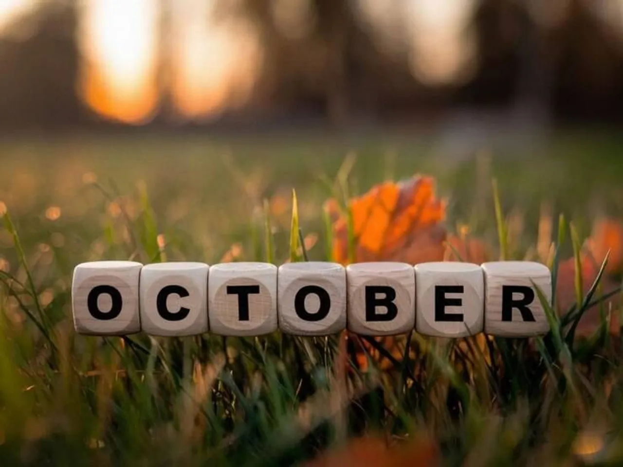 october, rohini