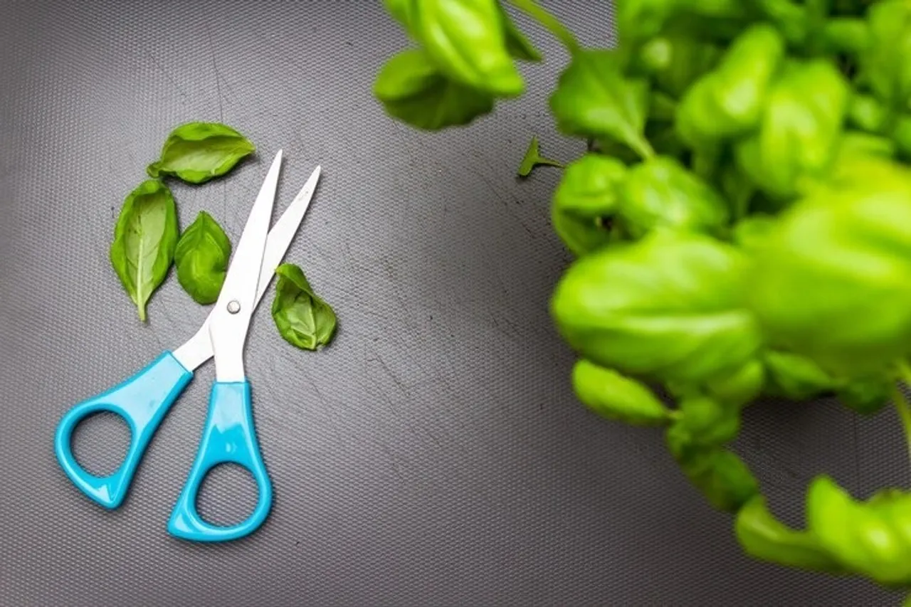 Sharpen Scissor 2