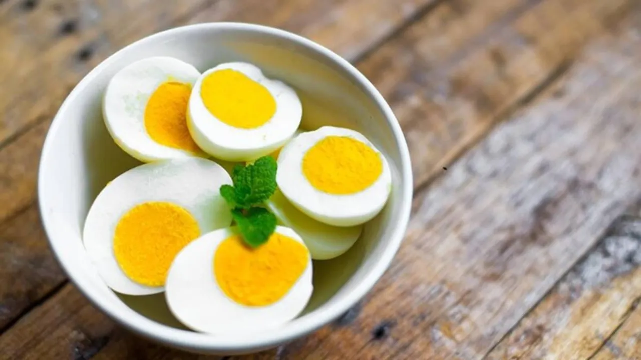 egg