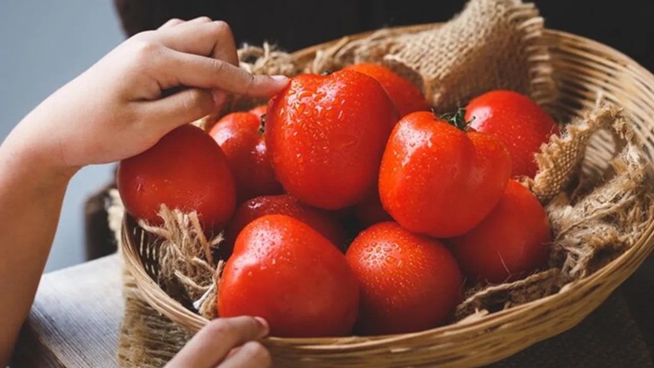 Store Tomatoes Fresh FI
