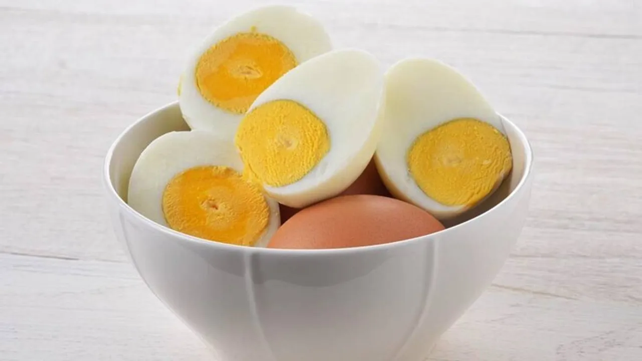 egg