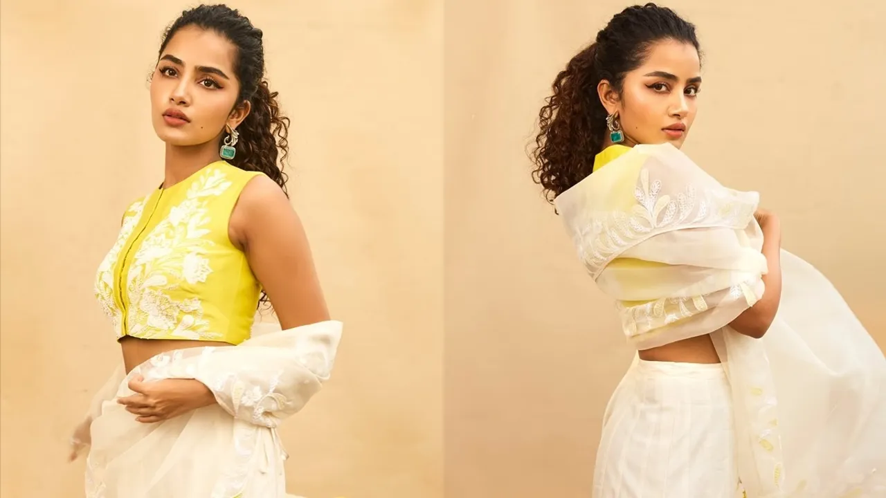 Anupama Parameswaran Photo FI