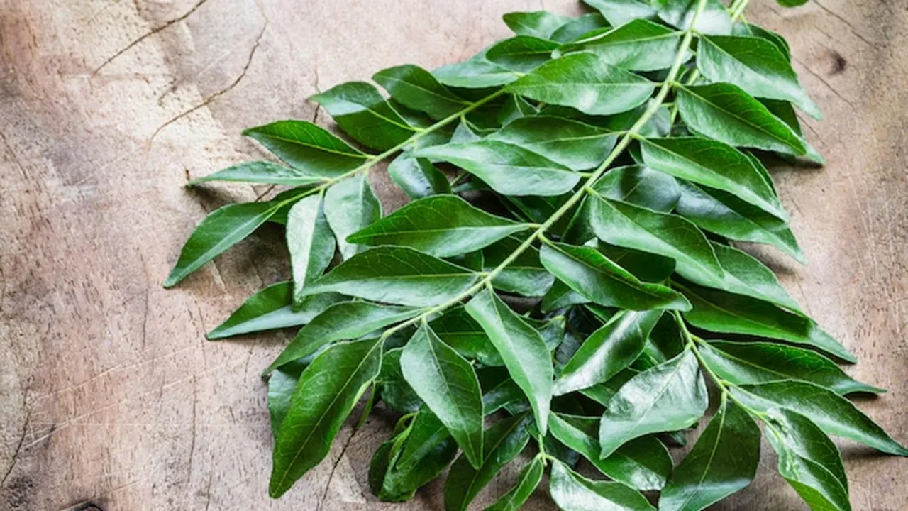 Keep Curryleaves Fresh For Long FI