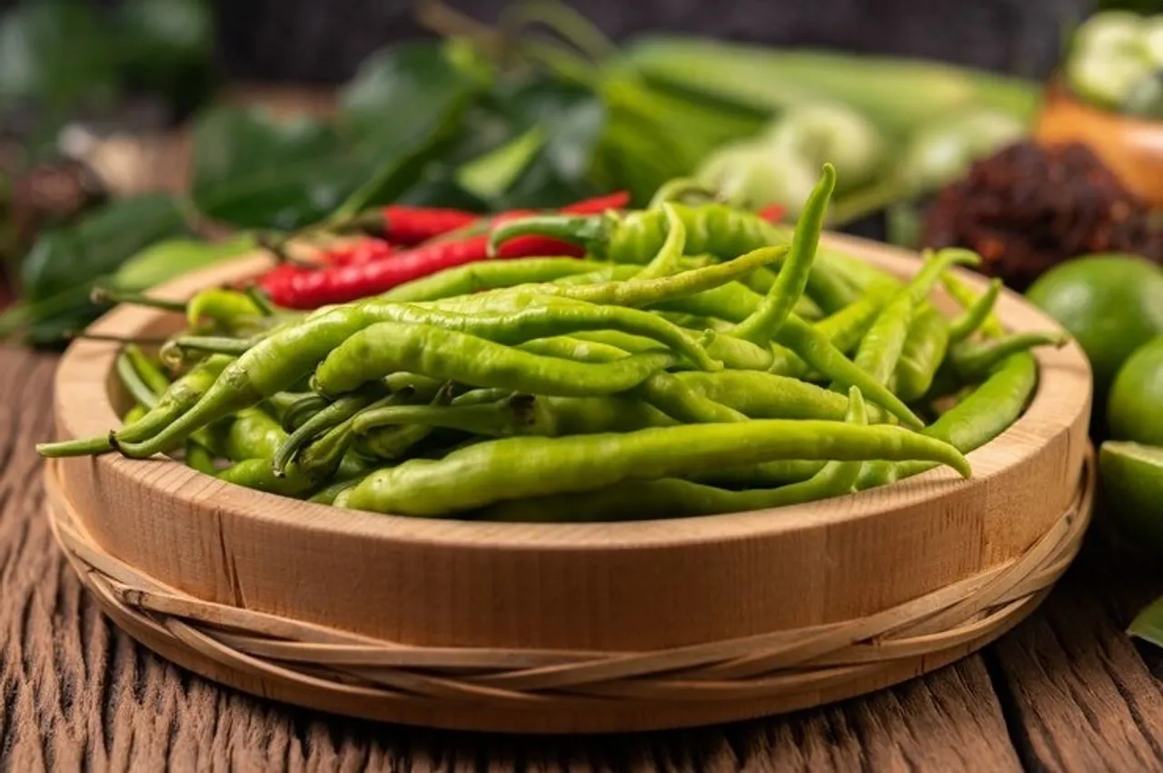 Storing Green Chilli  2