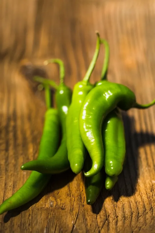 Storing Green Chilli  3