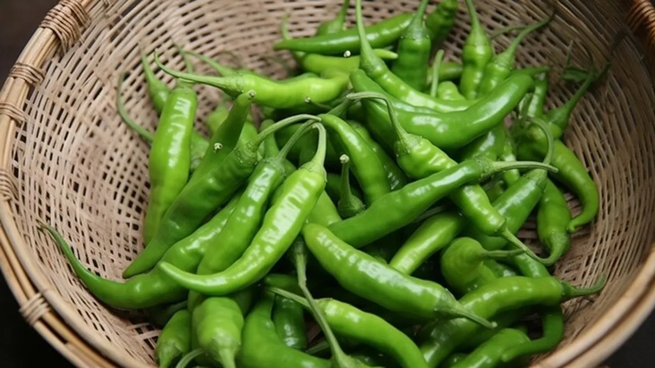 Storing Green Chilli FI