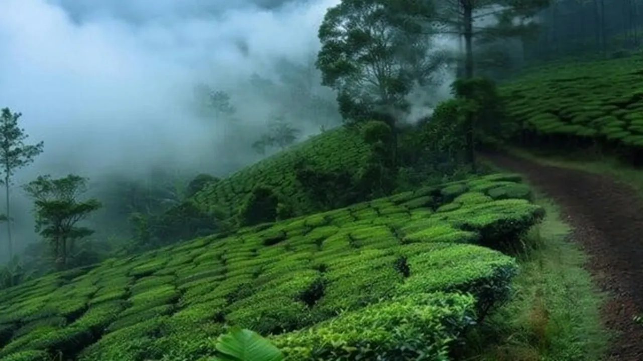 Murikkady