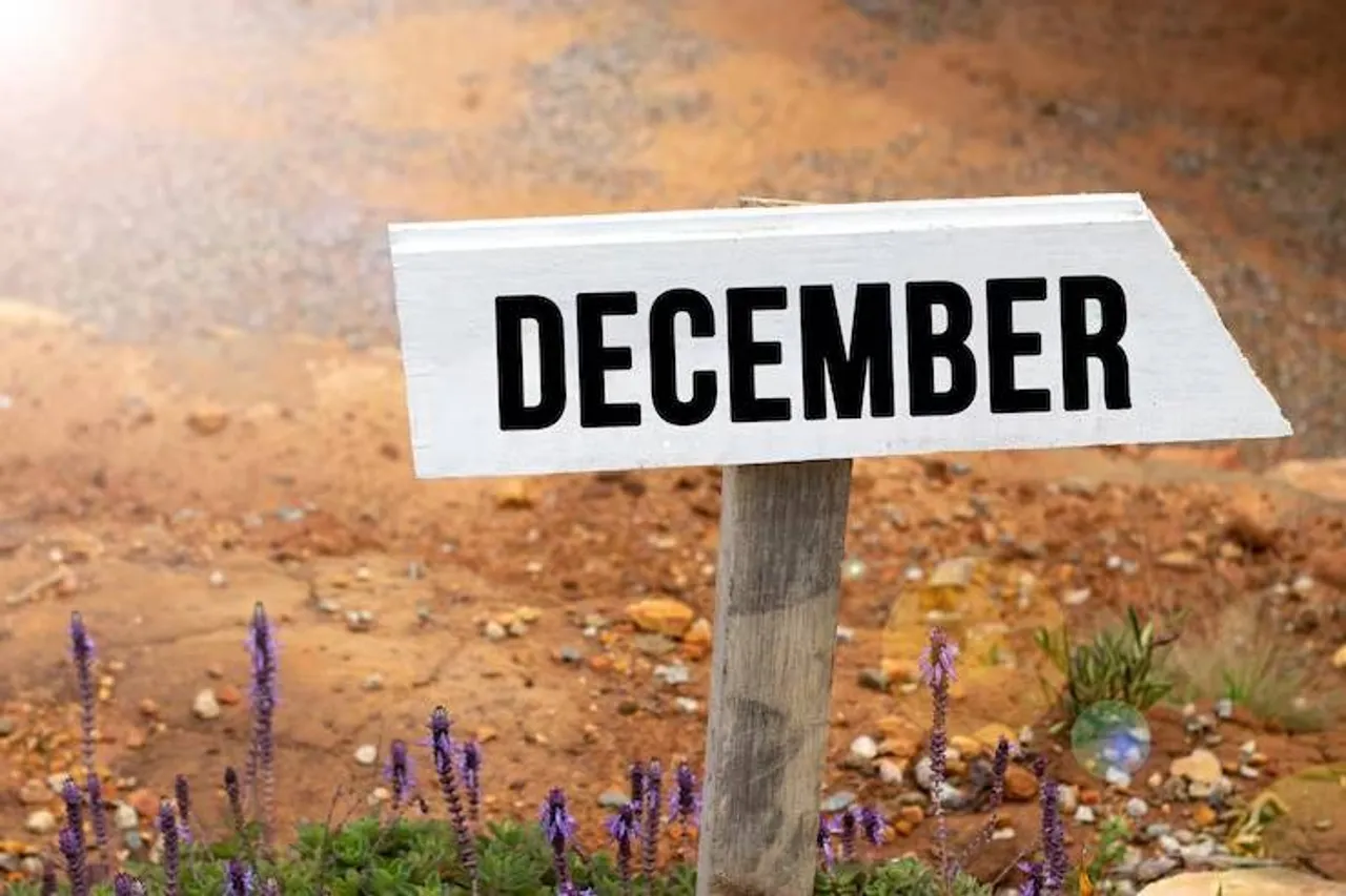 December, astrology, horoscope