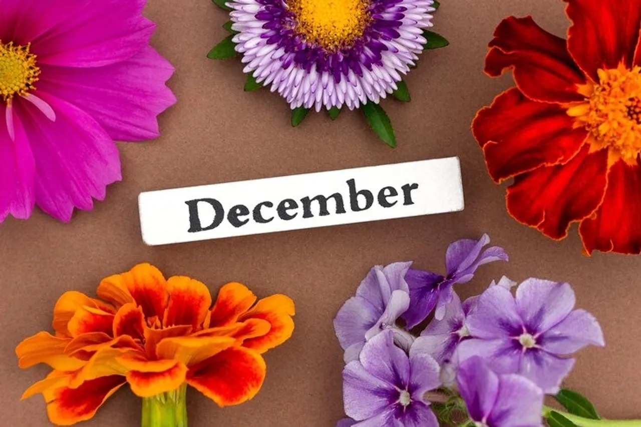 December, astrology, horoscope