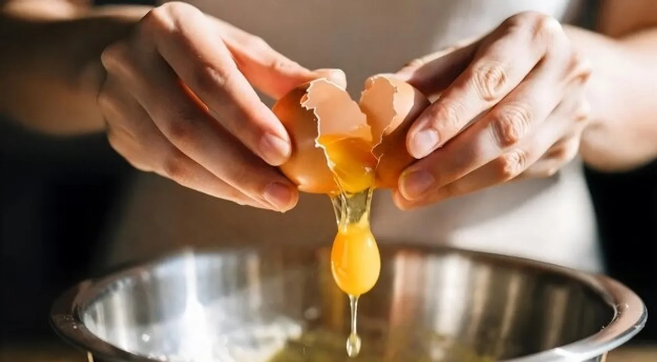 Egg freshness test 4