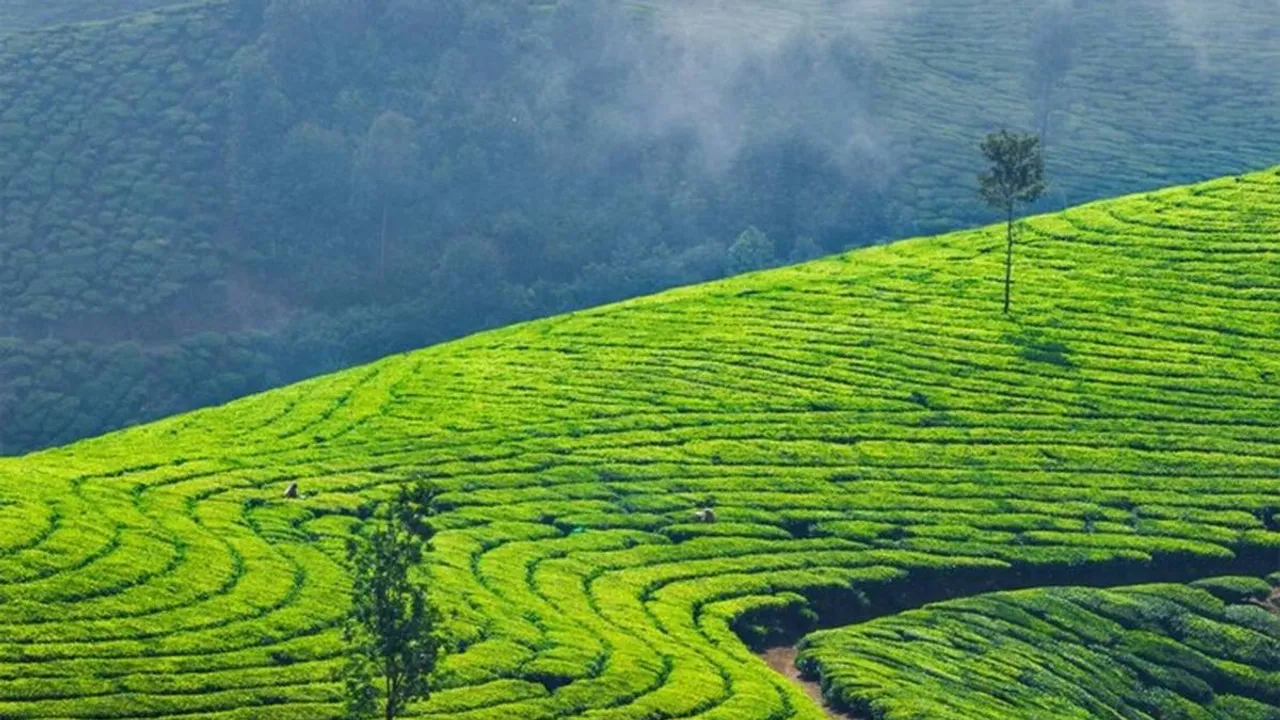 New Year Sreenivas Rohini