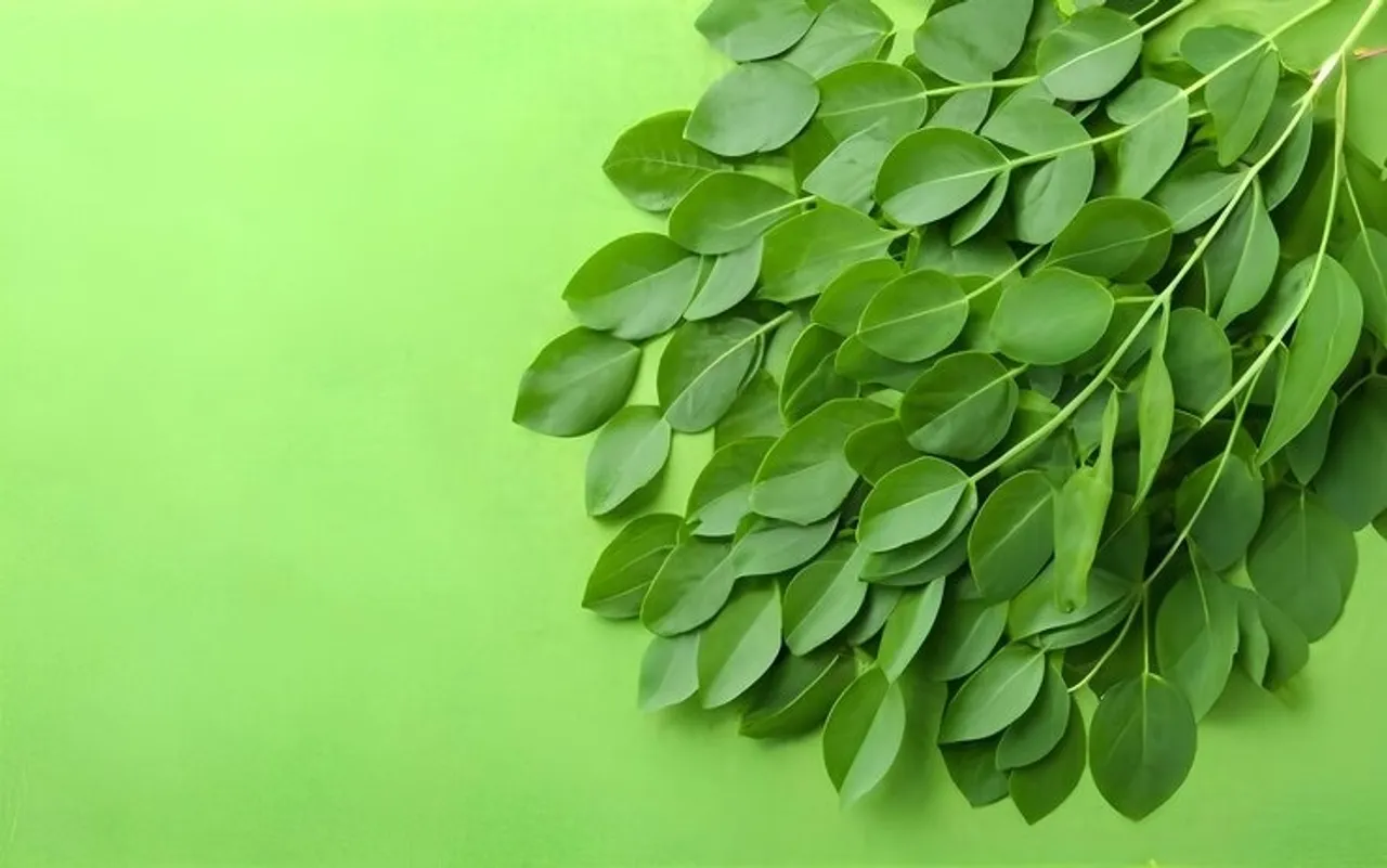 Benefits Of Having Moringa Leaves 1