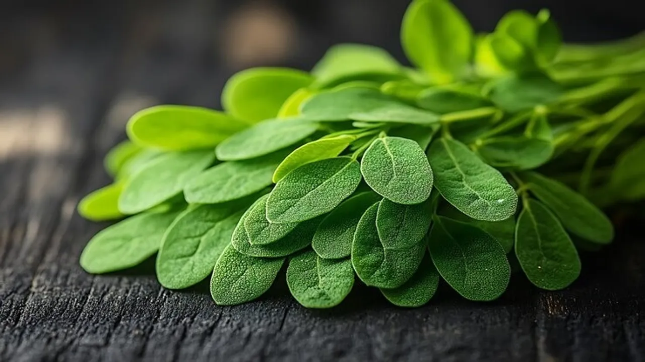 Benefits Of Having Moringa Leaves 3