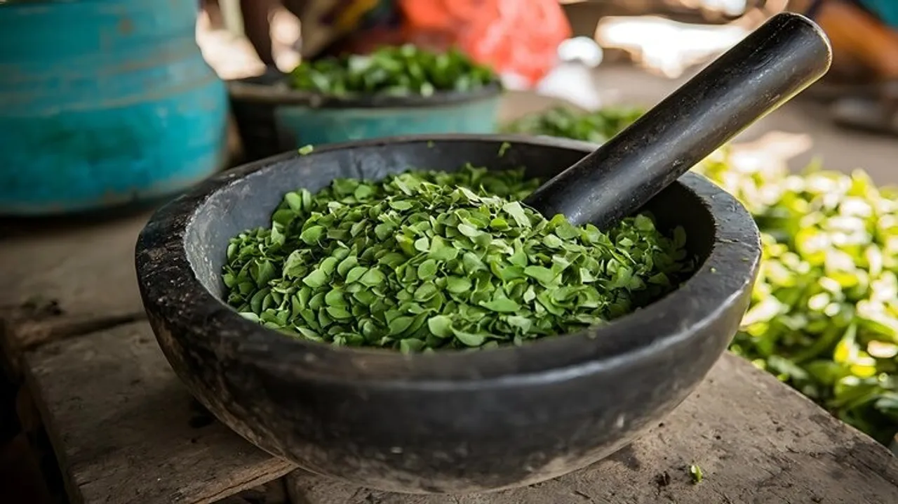 Benefits Of Having Moringa Leaves 5