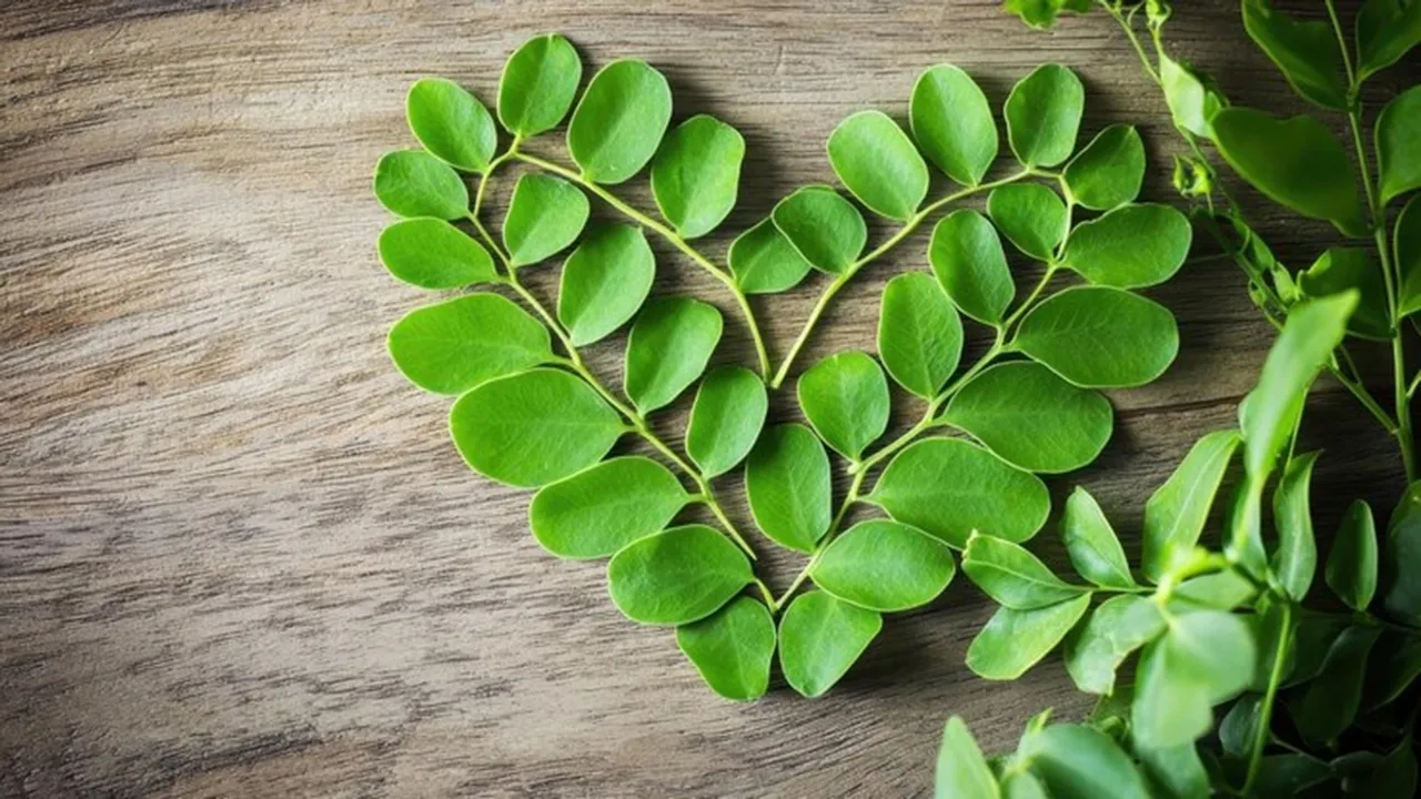 Benefits Of Having Moringa Leaves FI