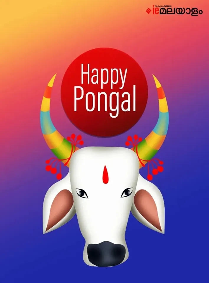 Happy Pongal 2026 Wishes 1