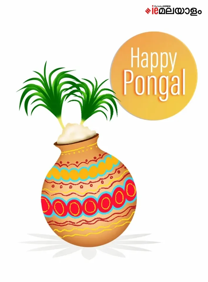 Happy Pongal 2026 Wishes 3