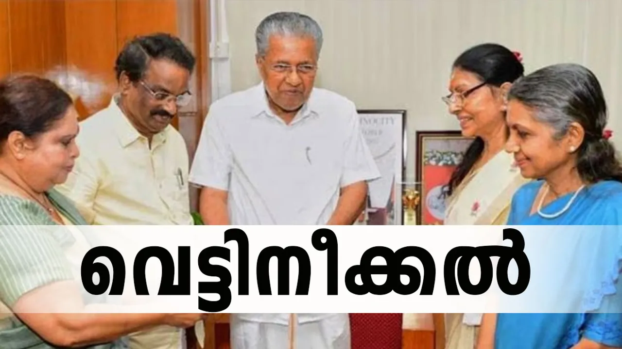 hema committee report