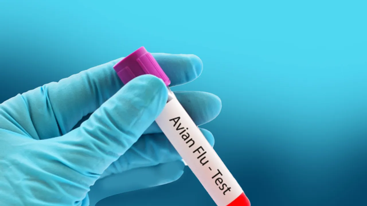 H9N2 Avian Flu | China respiratory illness 