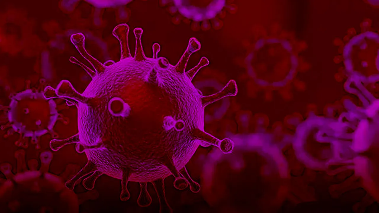 Covid Virus 