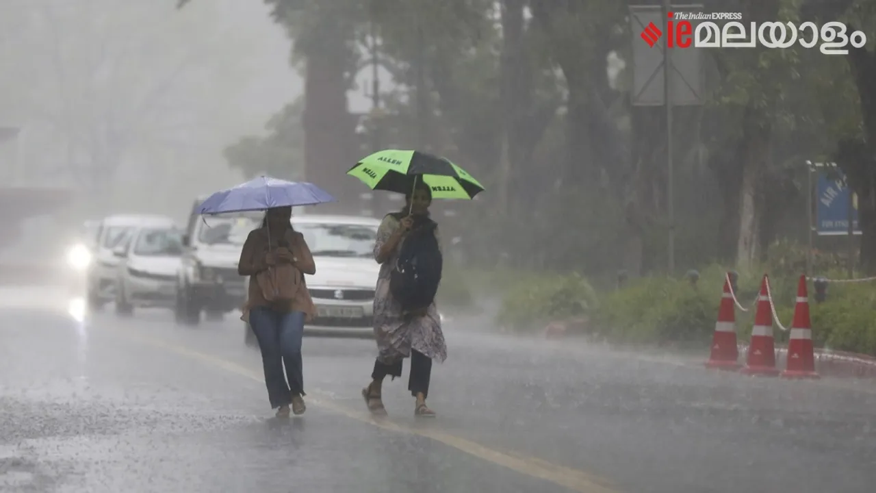 Rain, Rain Alert, Kerala Rain Updates, Weather Today