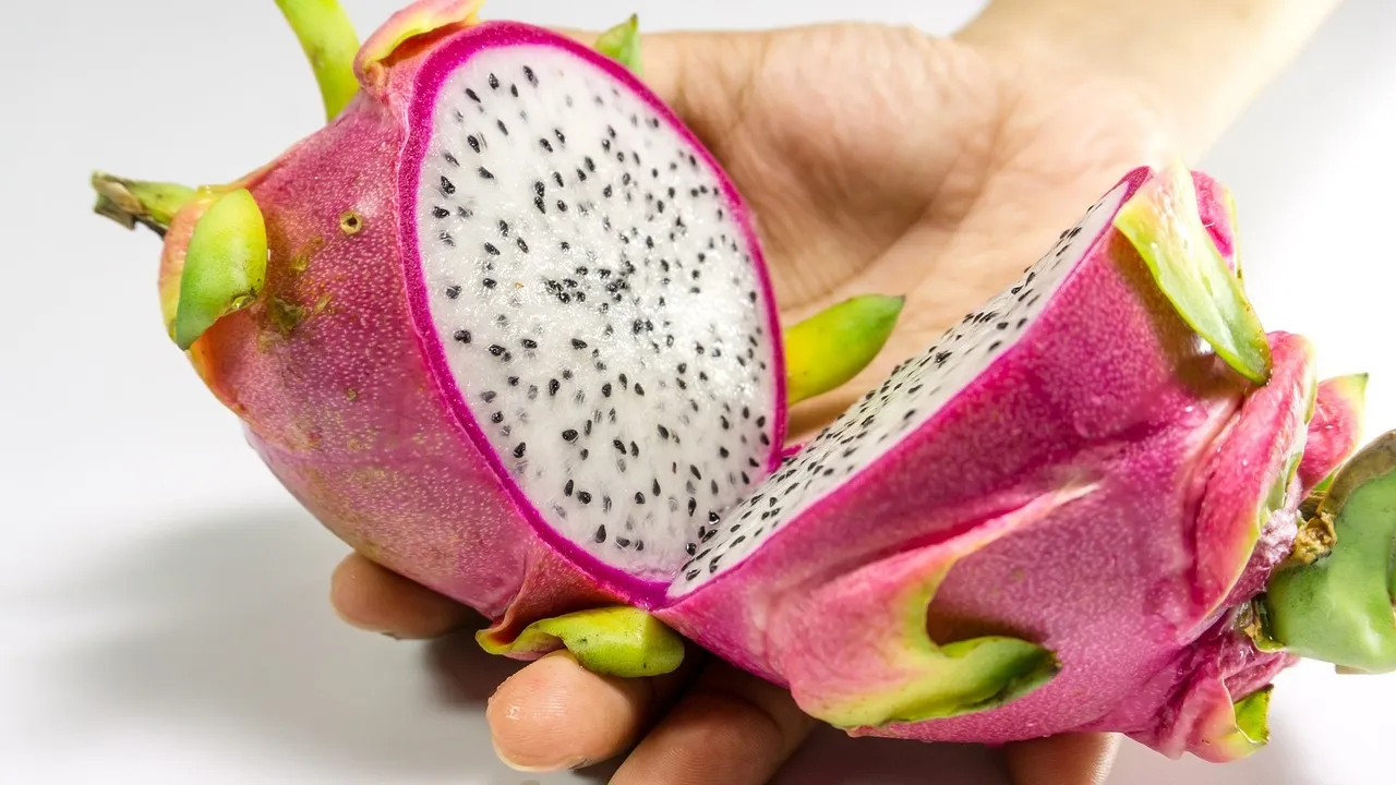 Dragon Fruit 2
