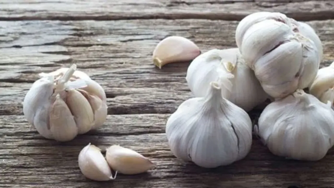 Garlic Prices