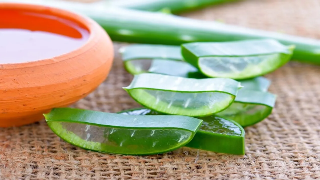 Aloe Vera Gel Hair Mask