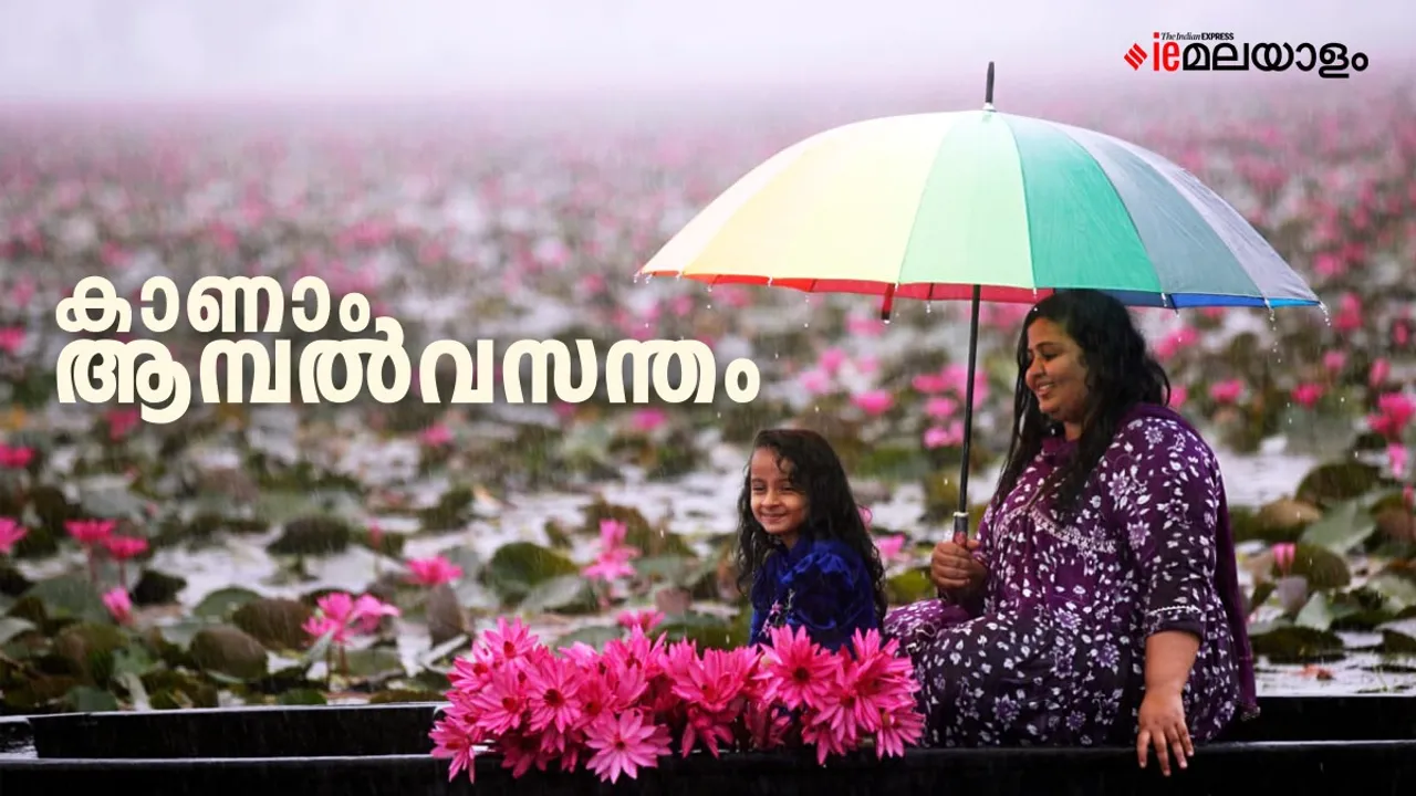 ambal