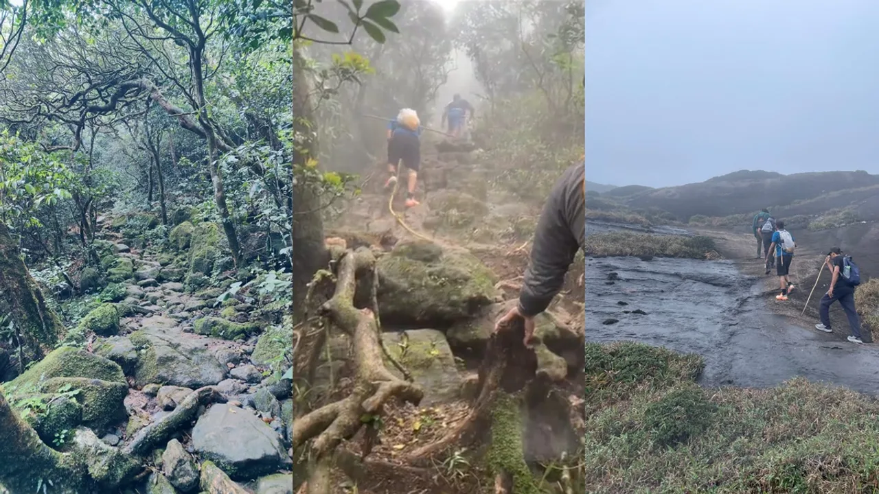 Agasthyakoodam trek Essential tips