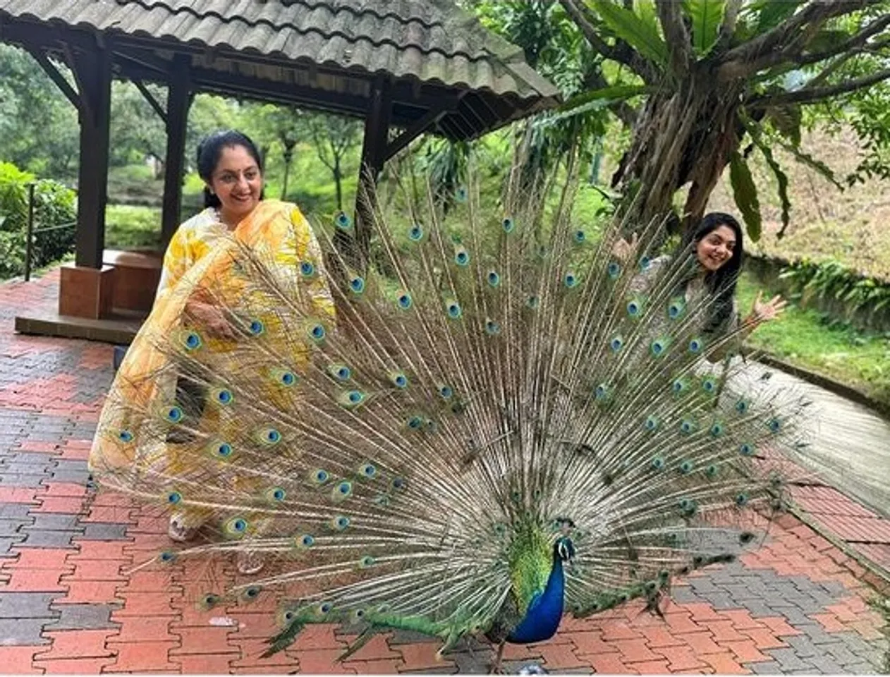 Ahaana Krishna