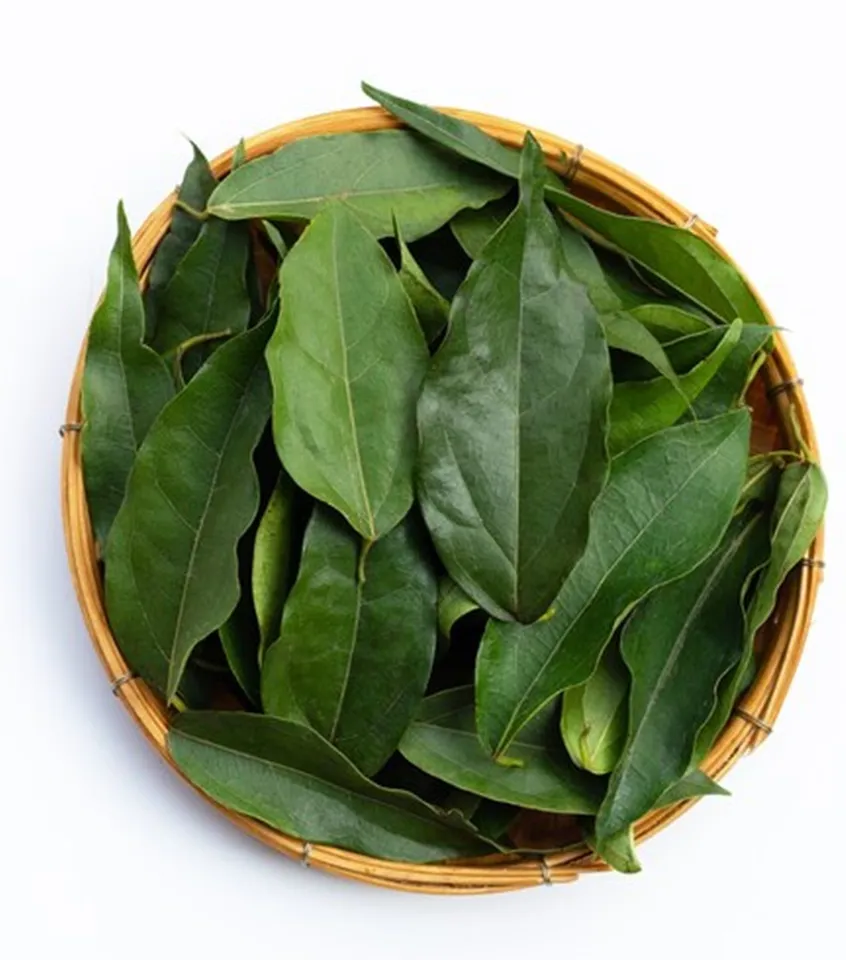Curry Leaf Pachadi