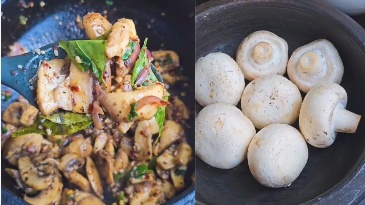 Mushroom Stir Fry Recipe