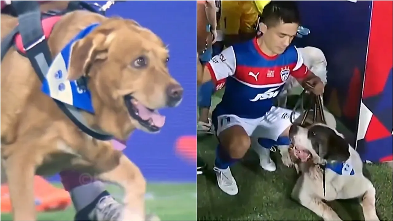 Bengaluru FC | 10 rescue dogs | ISL 2024