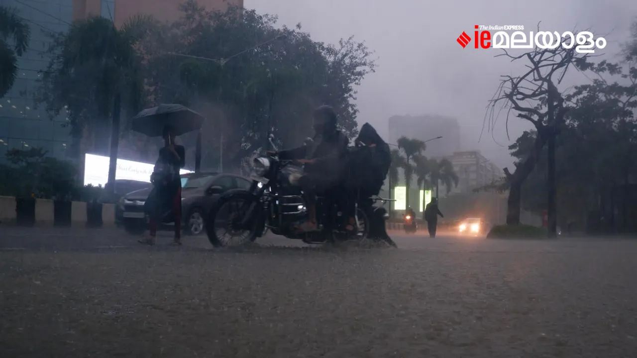 Rain | Weather